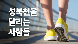 성북천을 달리는 사람들을 만나다