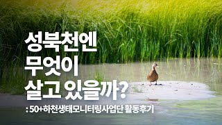 50+전문사회공헌단 : 성북천에는 어떤 생물이 살고 있을까?