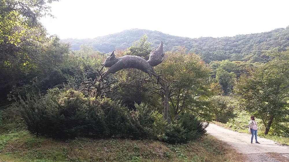 가을바람이 불던 날 괴산 여우 숲에 가다.