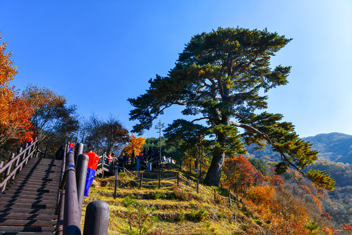 지리산 가는 길