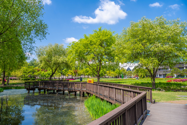 붓꽃의 계절 5월, 도봉구 나들이 하기 딱 좋아