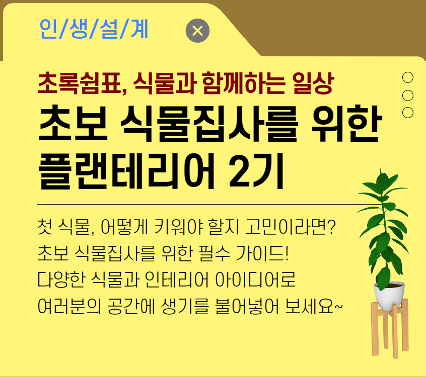 초보식물집사를 위한 플랜테리어 2기