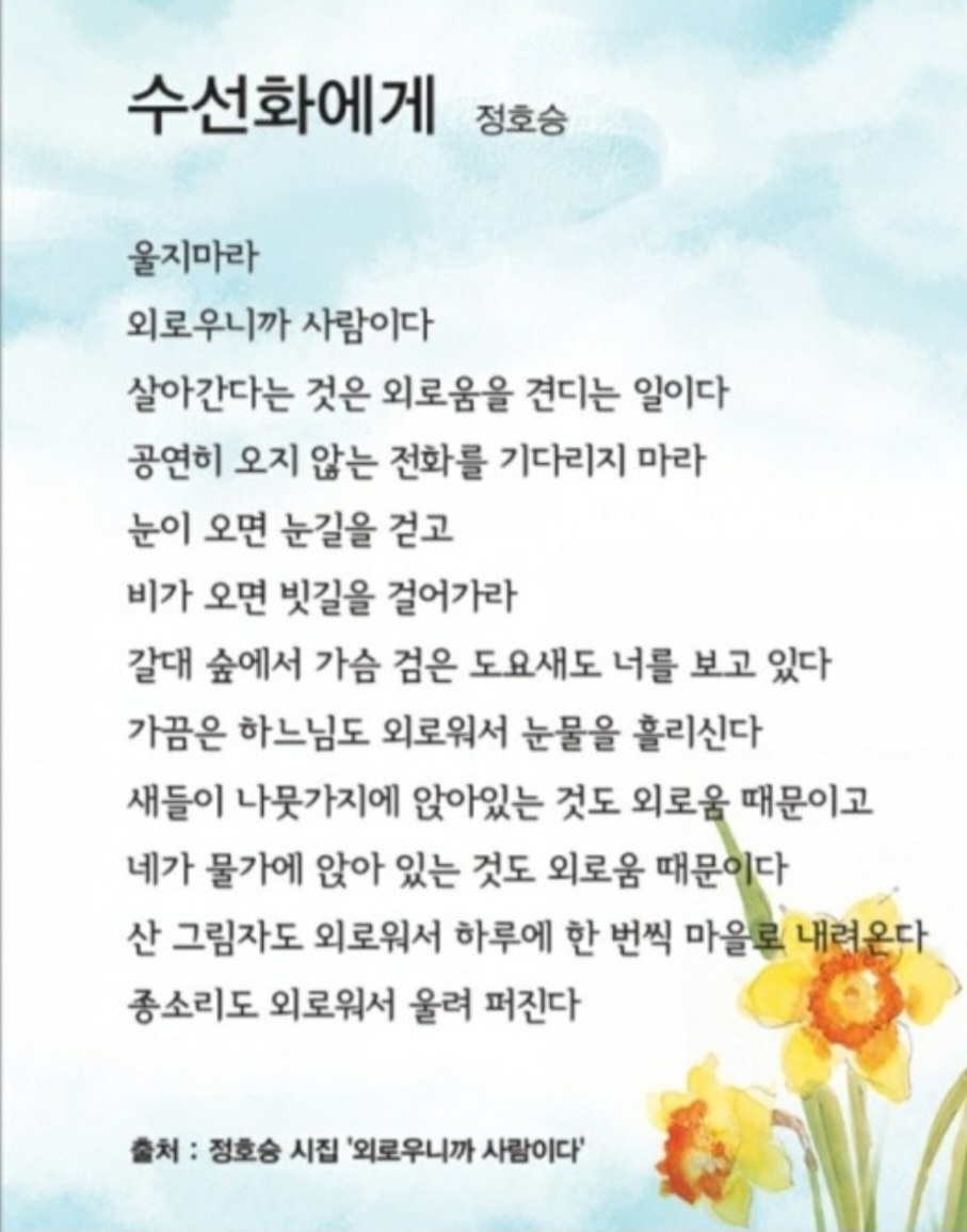 Screenshot_20250226_172937_NAVER.jpg